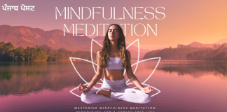 Beginner’s Guide to Mindfulness Meditation: Step-by-Step Instructions Mindfulness Meditation